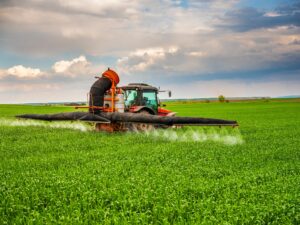 Quels sont les risques des OGM ?